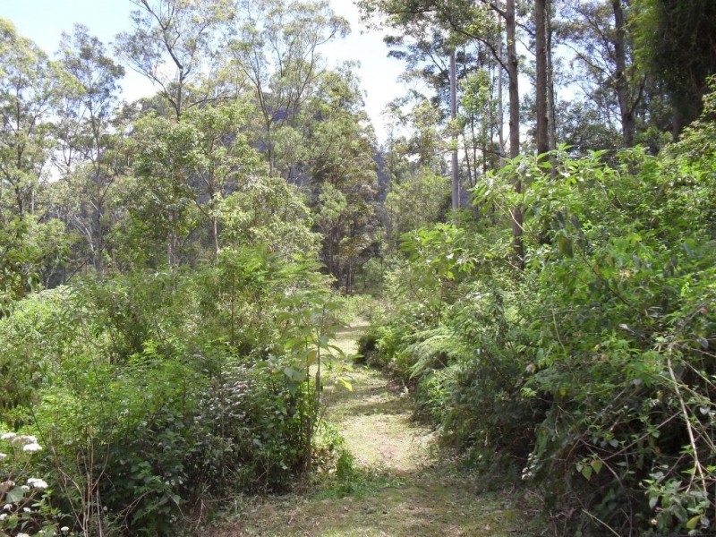 3291 Christmas Creek Rd, Christmas Creek QLD 4285