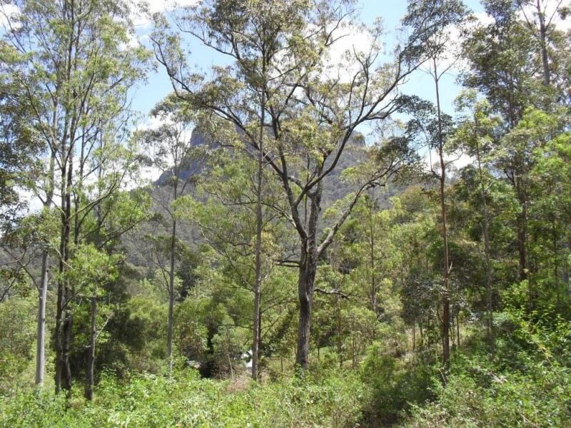 3291 Christmas Creek Rd, Christmas Creek QLD 4285