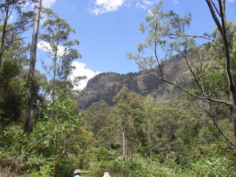 3291 Christmas Creek Rd, Christmas Creek QLD 4285