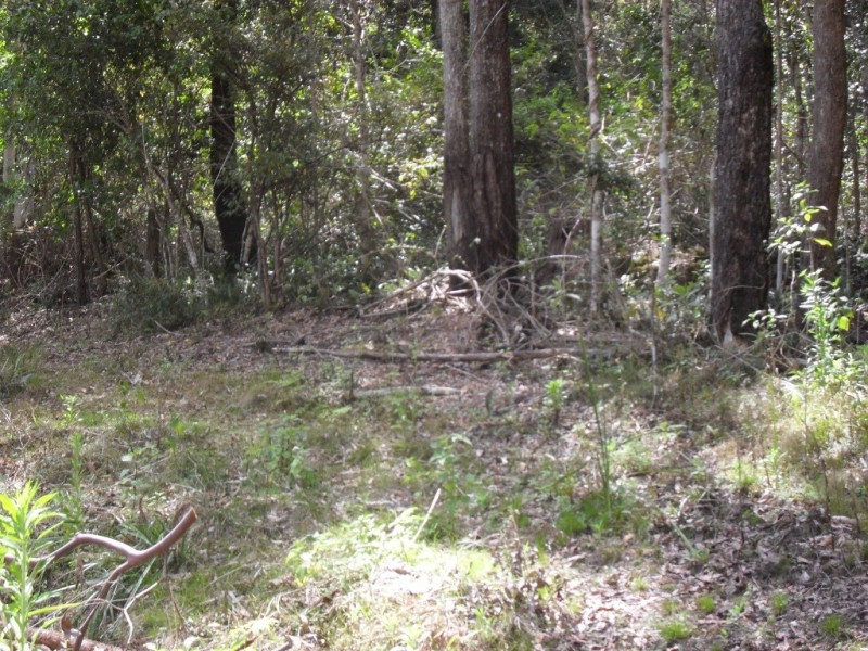 3291 Christmas Creek Rd, Christmas Creek QLD 4285