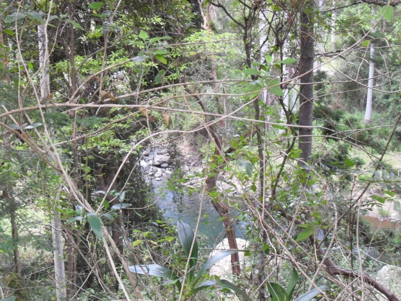 3291 Christmas Creek Rd, Christmas Creek QLD 4285