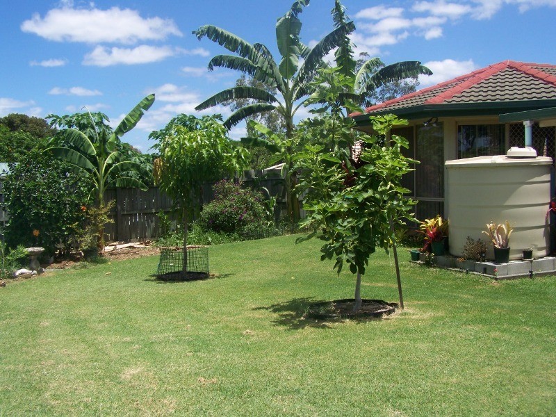 9 Caroline Court, Beaudesert QLD 4285