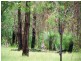 369 Boomerang, Kooralbyn QLD 4285