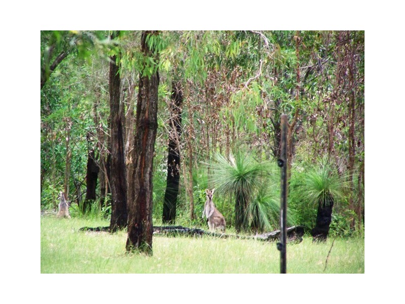 369 Boomerang, Kooralbyn QLD 4285