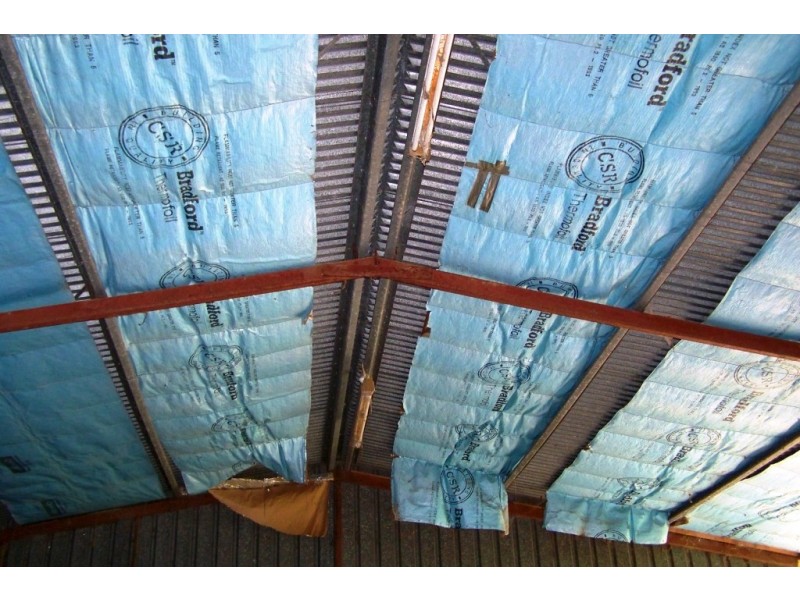 Veresdale Scrub QLD 4285