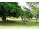 Veresdale Scrub QLD 4285