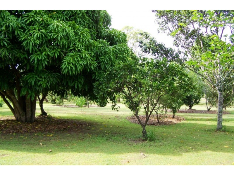Veresdale Scrub QLD 4285