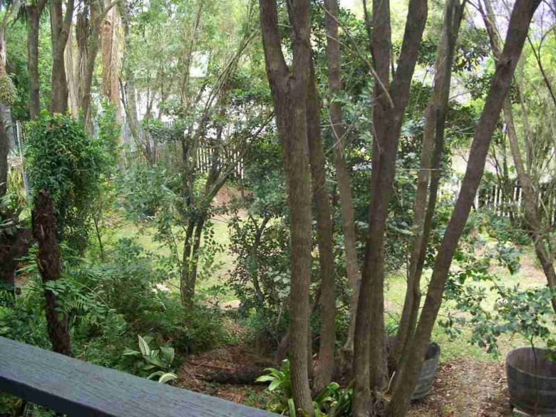 31 Brisbane Street, Beaudesert QLD 4285