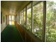 Palmwoods QLD 4555