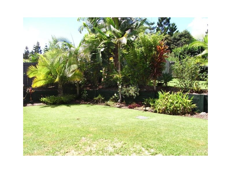 Palmwoods QLD 4555