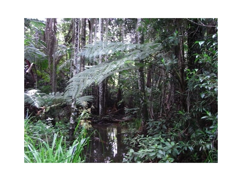 Woombye QLD 4559