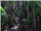 Woombye QLD 4559