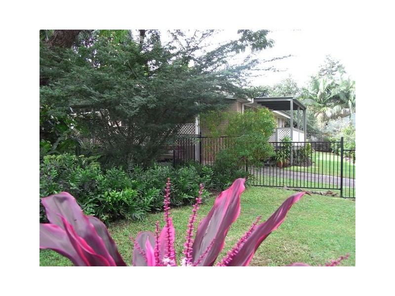 Palmwoods QLD 4555