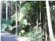 Palmwoods QLD 4555