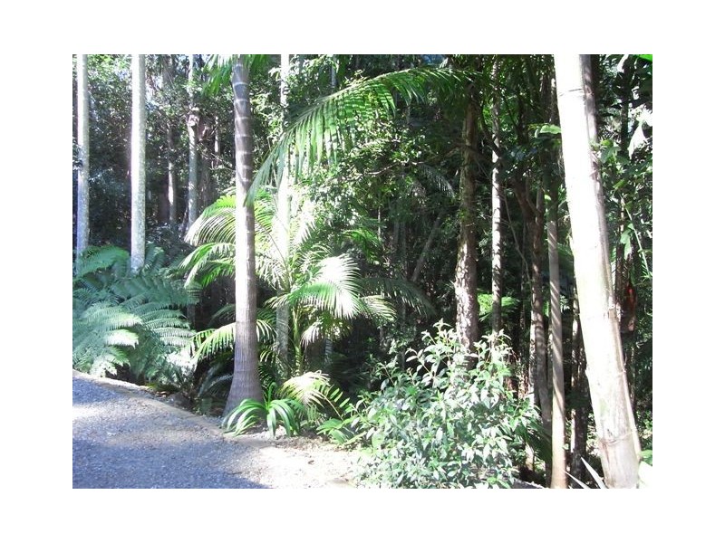 Palmwoods QLD 4555