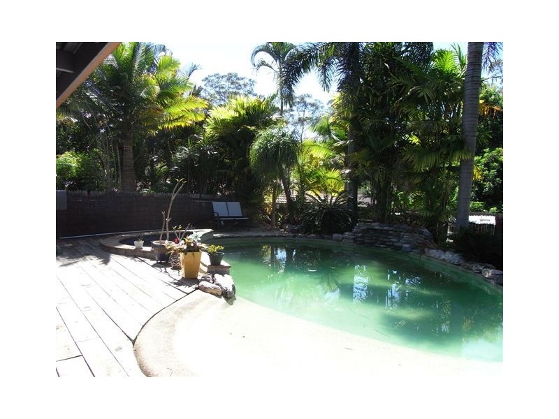 Palmwoods QLD 4555