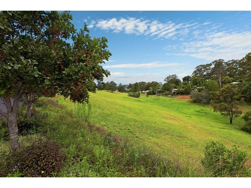 42 Abbotts Road, Palmwoods QLD 4555