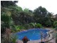 Palmwoods QLD 4555