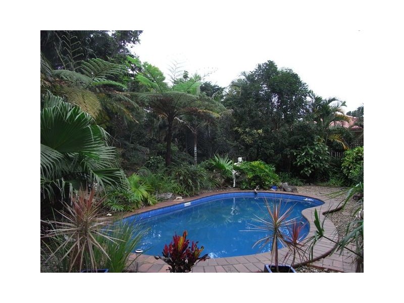 Palmwoods QLD 4555