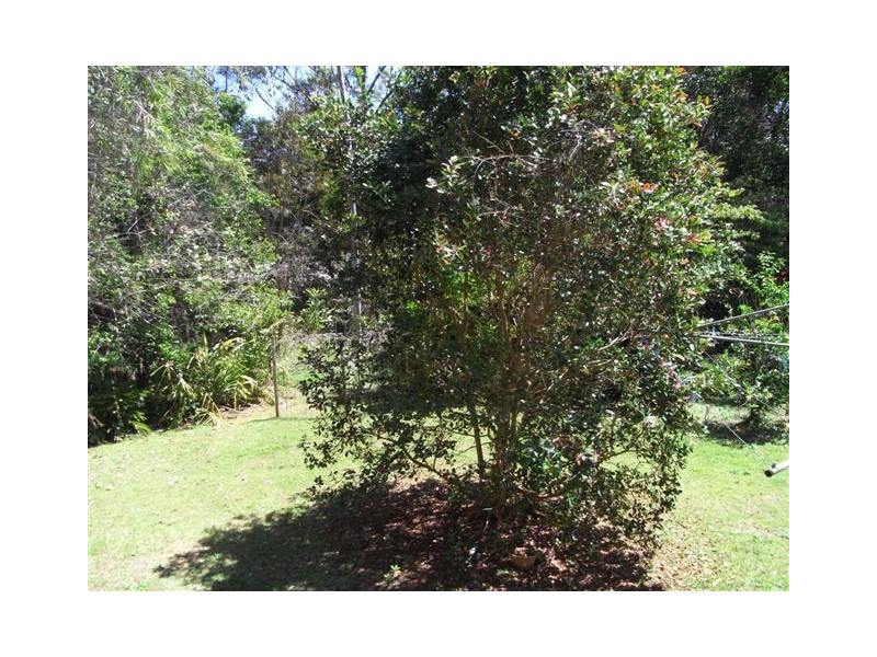 Palmwoods QLD 4555