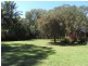 Palmwoods QLD 4555