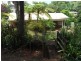 Palmwoods QLD 4555