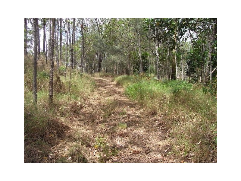 347 Palmwoods/Montville Road, Palmwoods QLD 4555