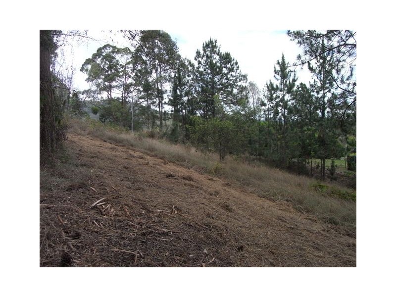 347 Palmwoods/Montville Road, Palmwoods QLD 4555