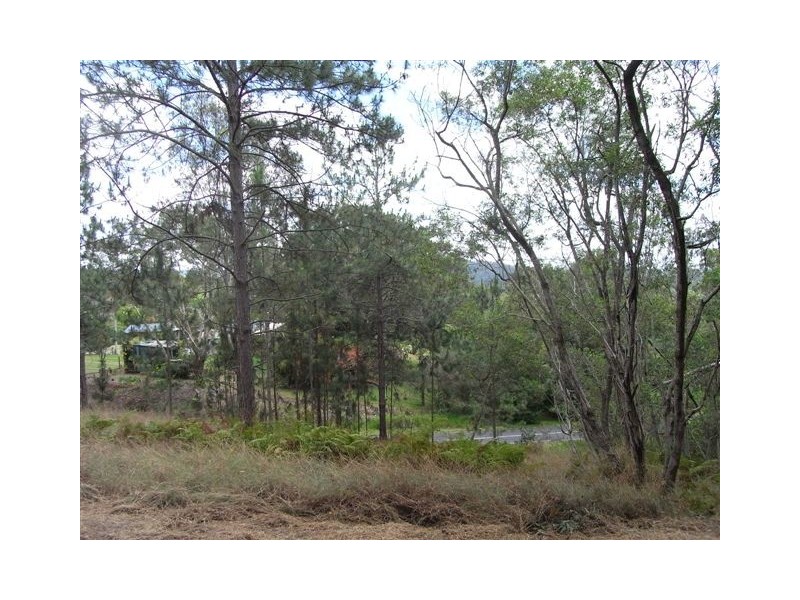 347 Palmwoods/Montville Road, Palmwoods QLD 4555