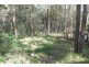 295 Ilkley Road, Ilkley QLD 4554