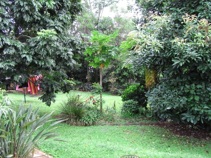 Palmwoods QLD 4555