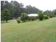 Palmwoods QLD 4555