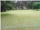 Palmwoods QLD 4555