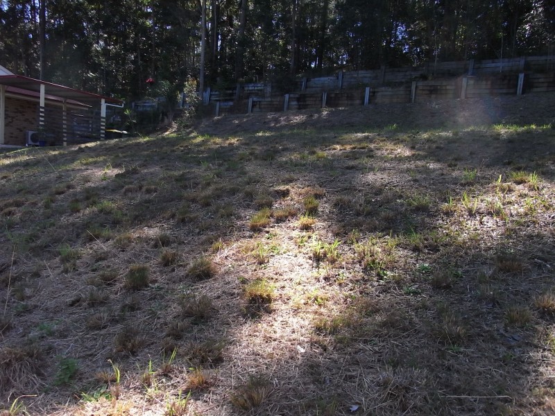 34 Taronga Street, Palmwoods QLD 4555