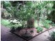 Palmwoods QLD 4555