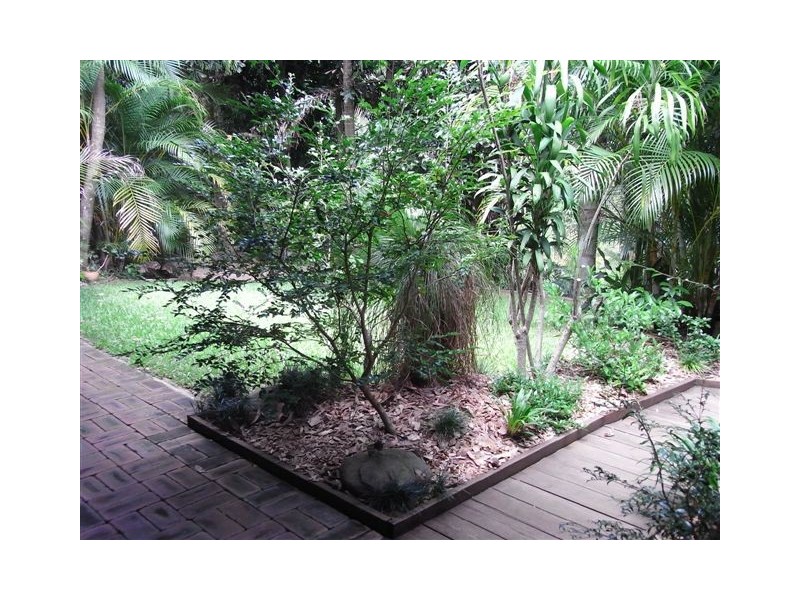 Palmwoods QLD 4555