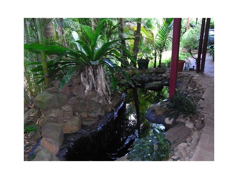 Palmwoods QLD 4555