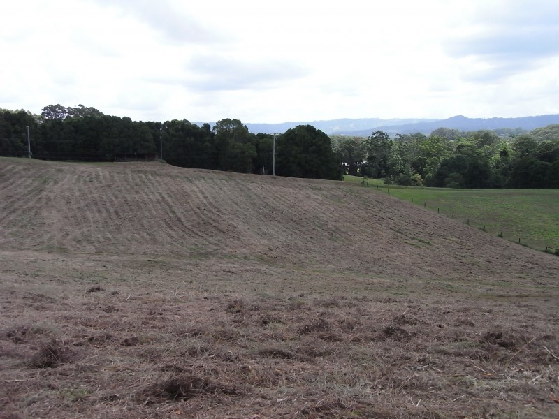 Diddillibah QLD 4559