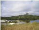 Palmwoods QLD 4555