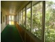 Palmwoods QLD 4555