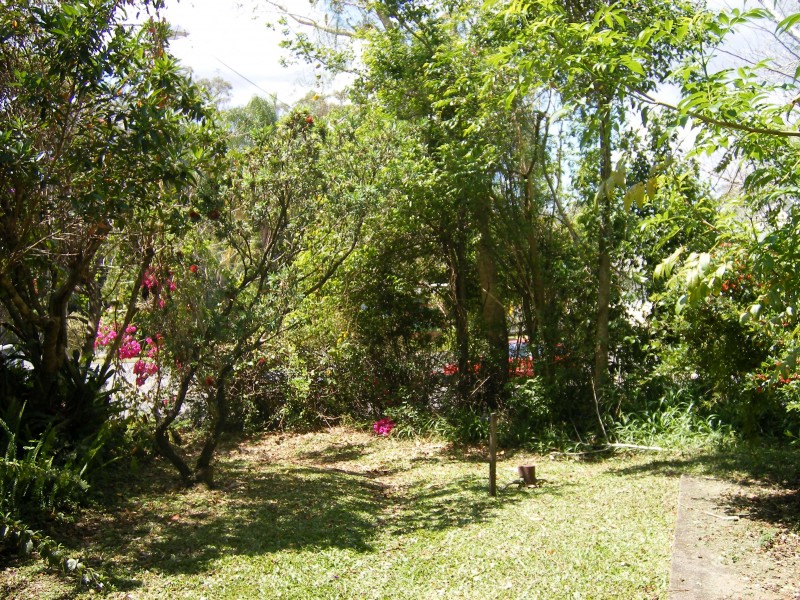Palmwoods QLD 4555