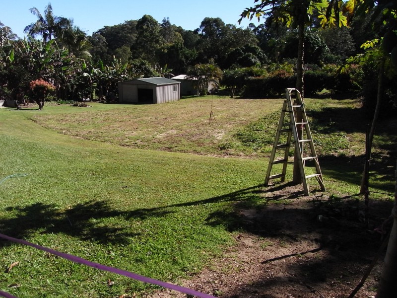 Palmwoods QLD 4555