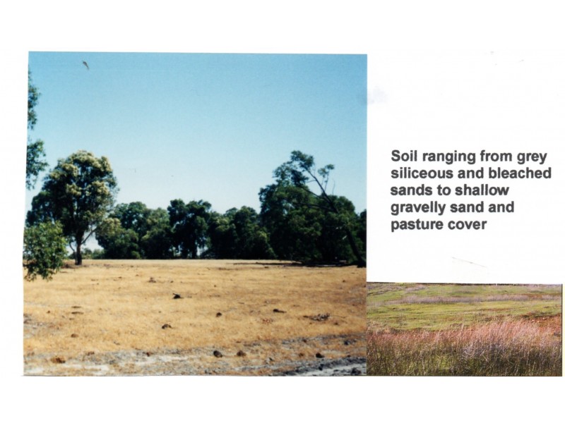 Lot 1 Foundry Place, Wundowie WA 6560