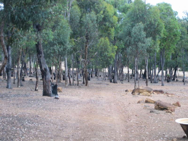 19 Brown Road, Wundowie WA 6560