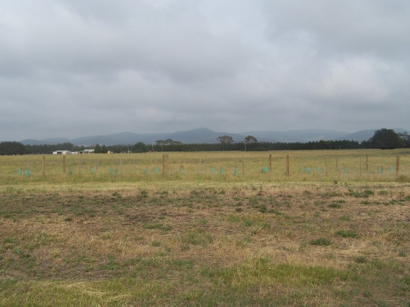 2/1662 Lancefield Road, Romsey VIC 3434