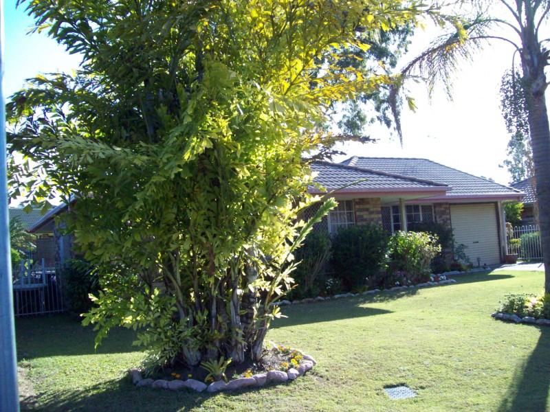 118 Castile Cr, Edens Landing QLD 4207