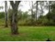 25 Karri Street, Russell Island QLD 4184