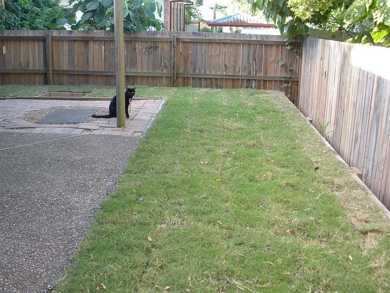 11/50 Monash Rd, Loganlea QLD 4131