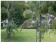 43 Ghostgum Grove, Upper Coomera QLD 4209