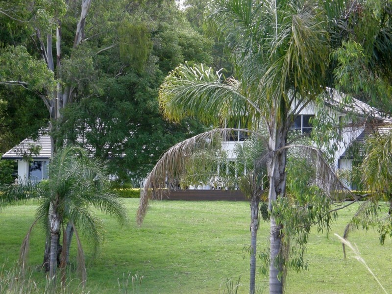 43 Ghostgum Grove, Upper Coomera QLD 4209
